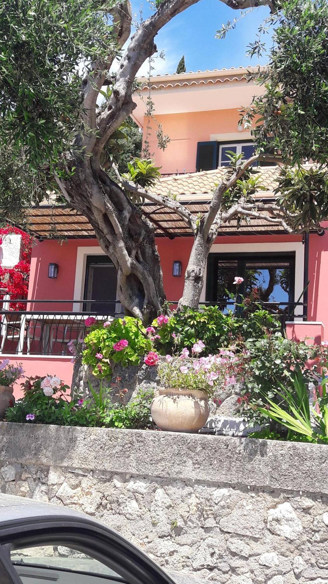 Rapanos Apartments Παλαιοκαστρίτσα Εξωτερικό φωτογραφία